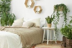Stylish interior of bedroom with green houseplants