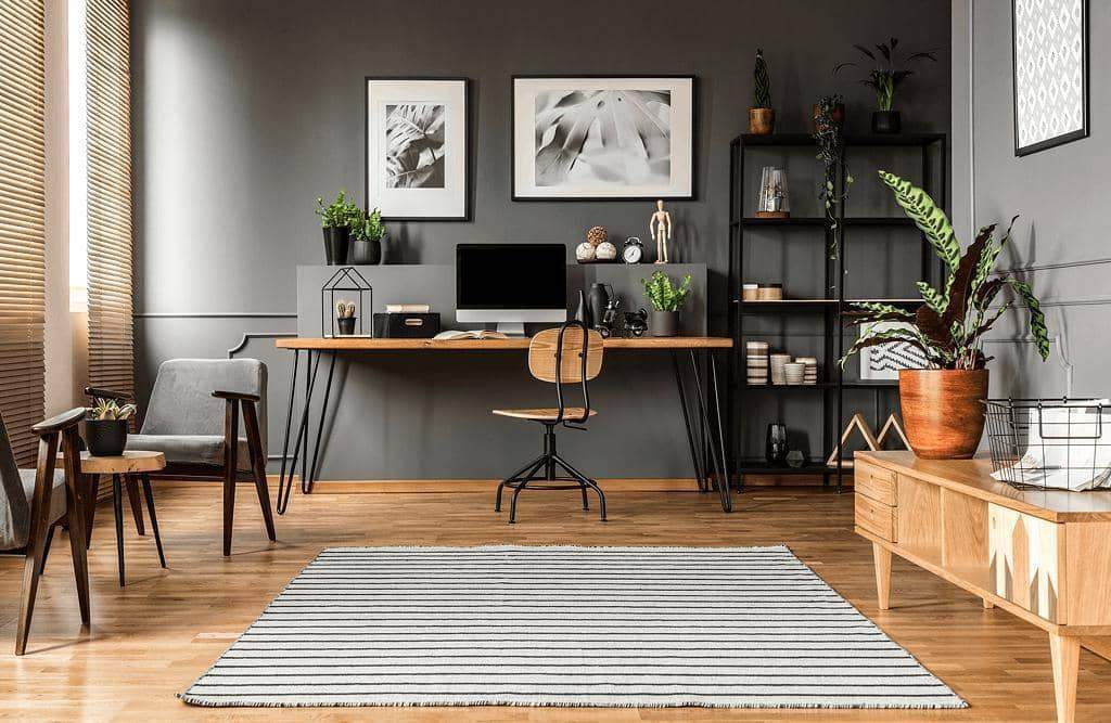 image of modern office with a variety of calathea plants.