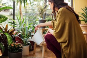 image of women watering plants